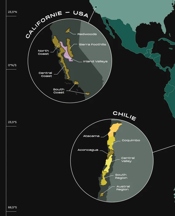 Carte à gratter : le Monde des vins - Image 4